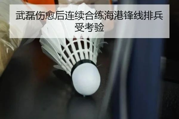 武磊伤愈后连续合练海港锋线排兵受考验